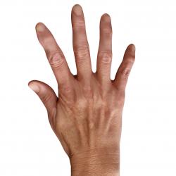 Isla Cole Retopo Hand Scan